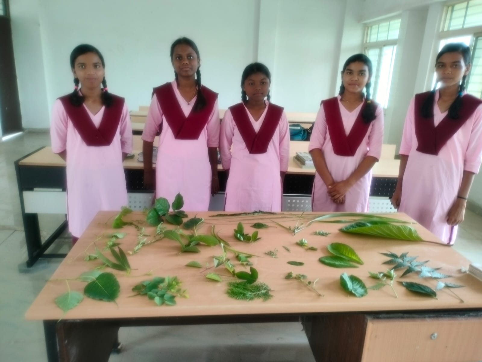 Students Activity